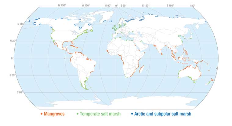 Coastal Wetlands Map of the World featuring Mangroves, Temperate and Artic Salt Marshes