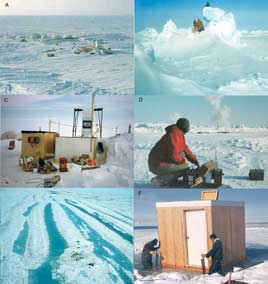Canadian Ice Island Program
